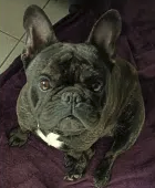 Je suis TITOU et je recherche un nouveau foyé