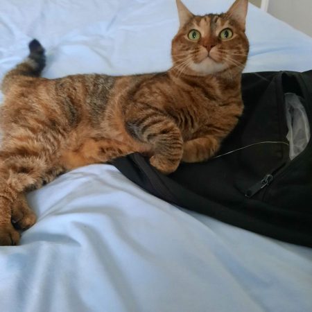 Mina - a adopter