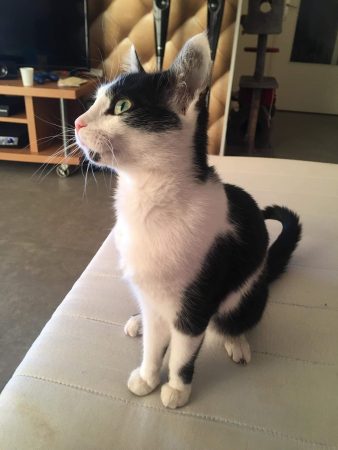 Donne chatte femelle channel