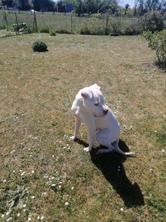 Photo 4