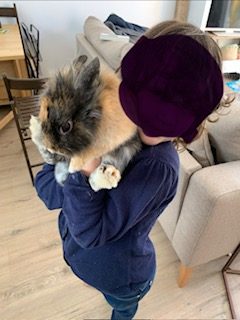 Donne Lapine Toy 2 ans cause déménagement