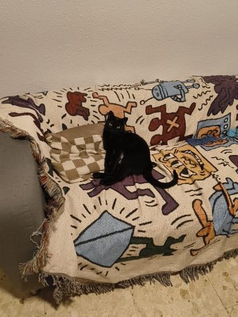 Donne chat noir