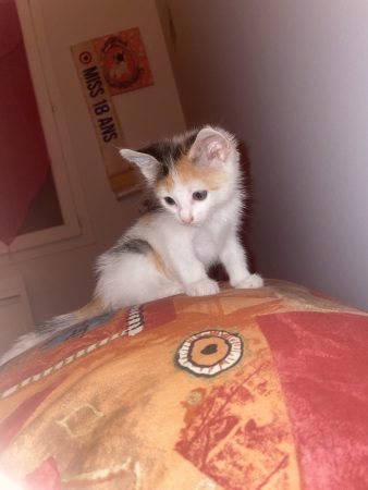 Photo 2