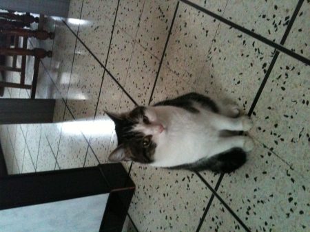 chat senior