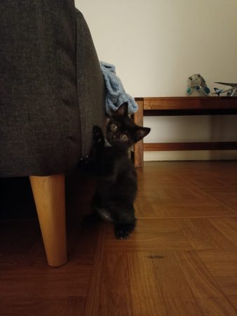 Photo 2