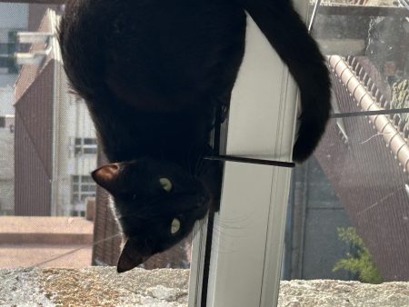 Donne chat gratuit