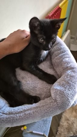 Photo 3