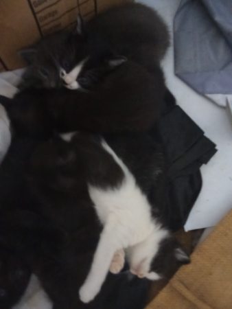 Photo 2