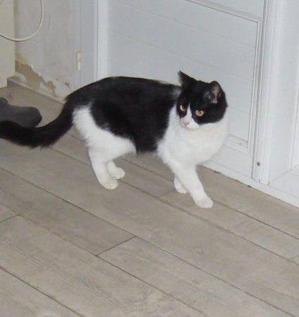 Photo 2