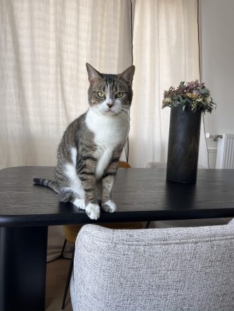 Yves, 6 ans, beau et calme